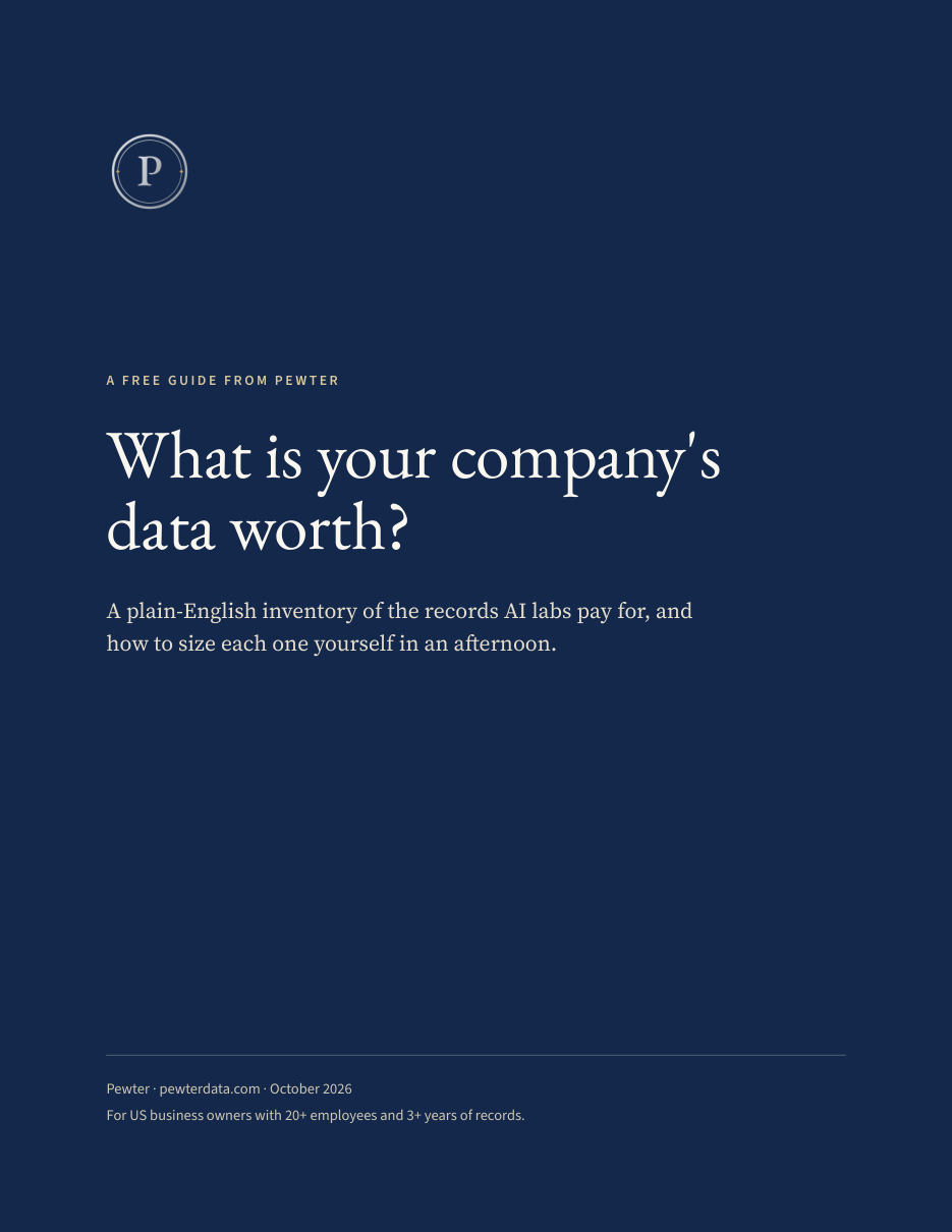 Cover of the Pewter guide: What is your company's data worth?